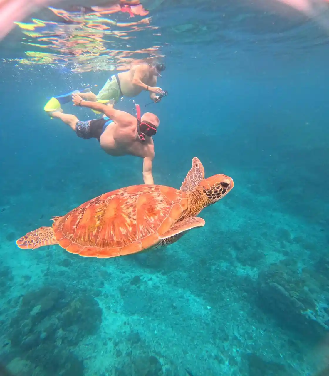 Private snorkeling experience