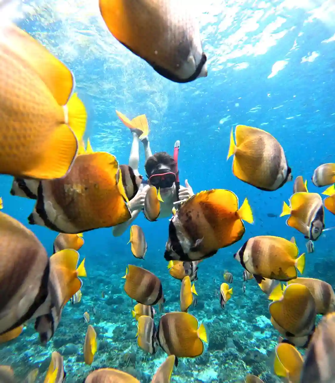 Snorkeling gallery photo 2