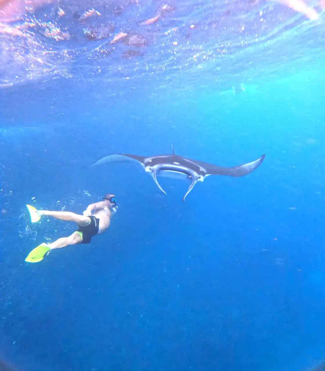 Snorkeling gallery photo 4