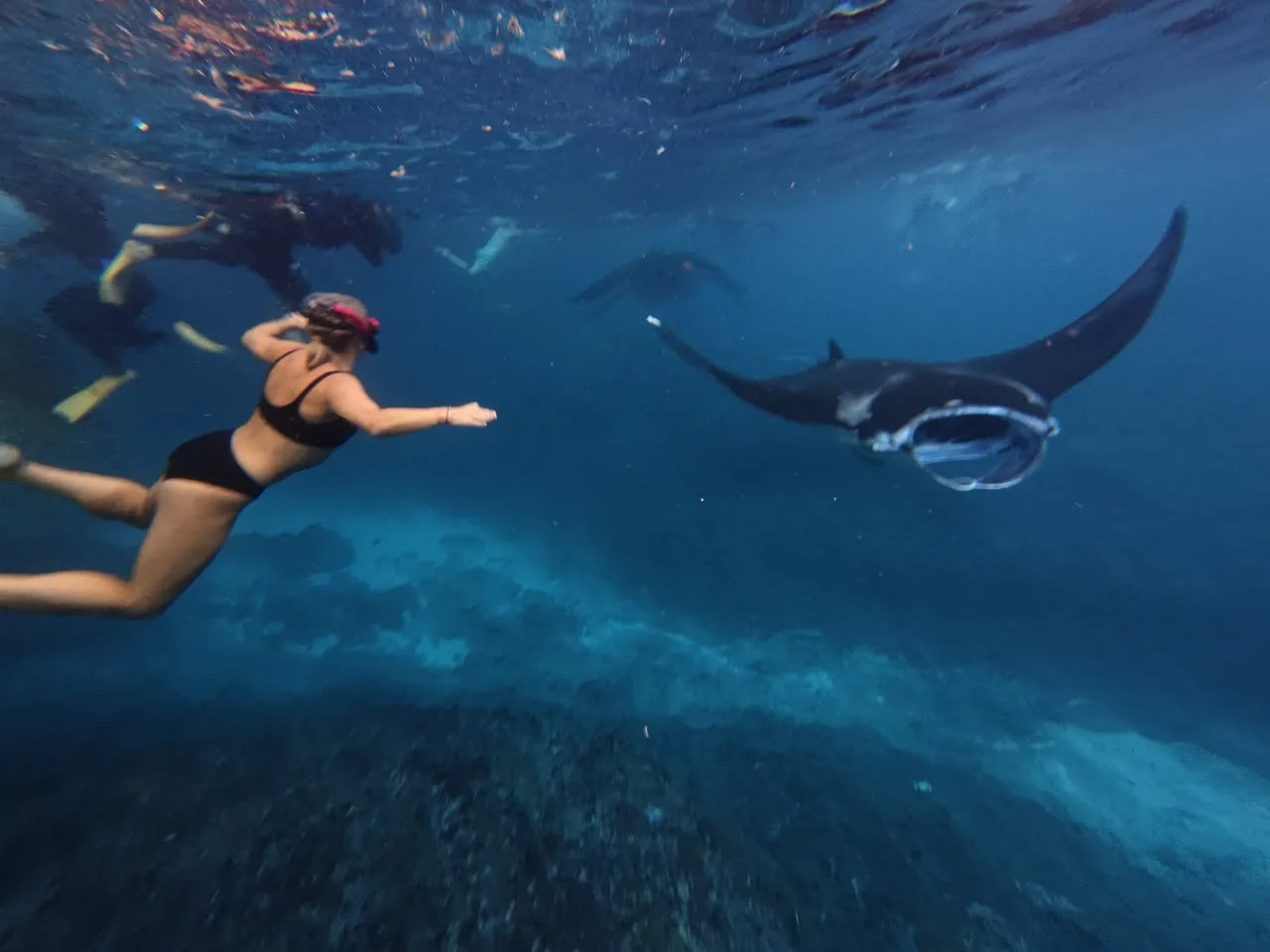Snorkeling gallery photo 6
