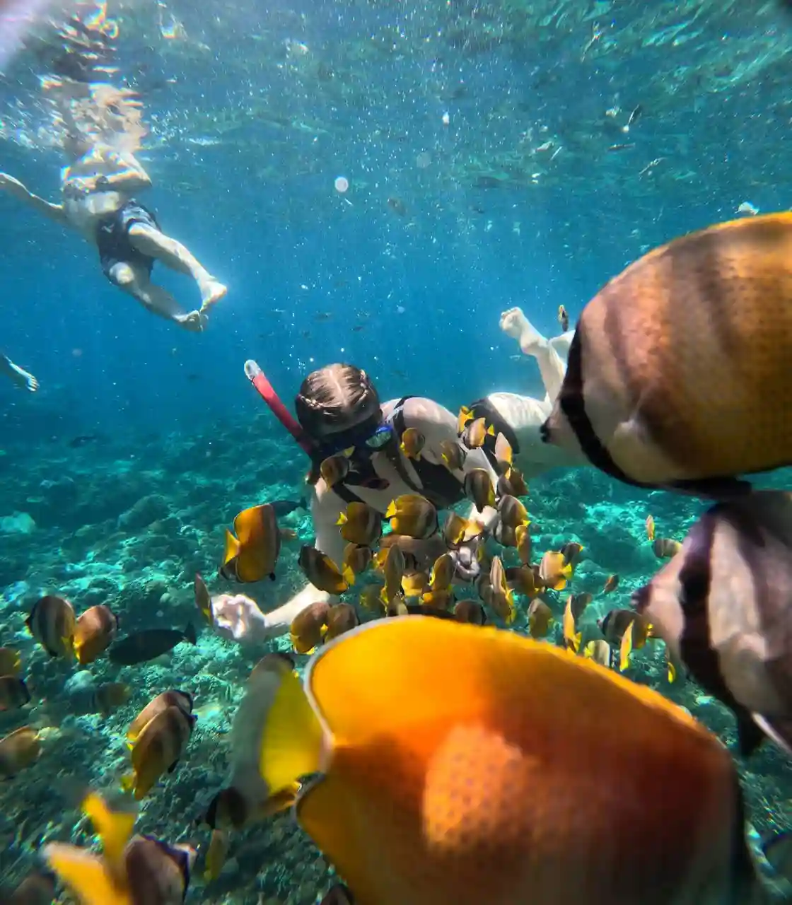 Snorkeling gallery photo 7