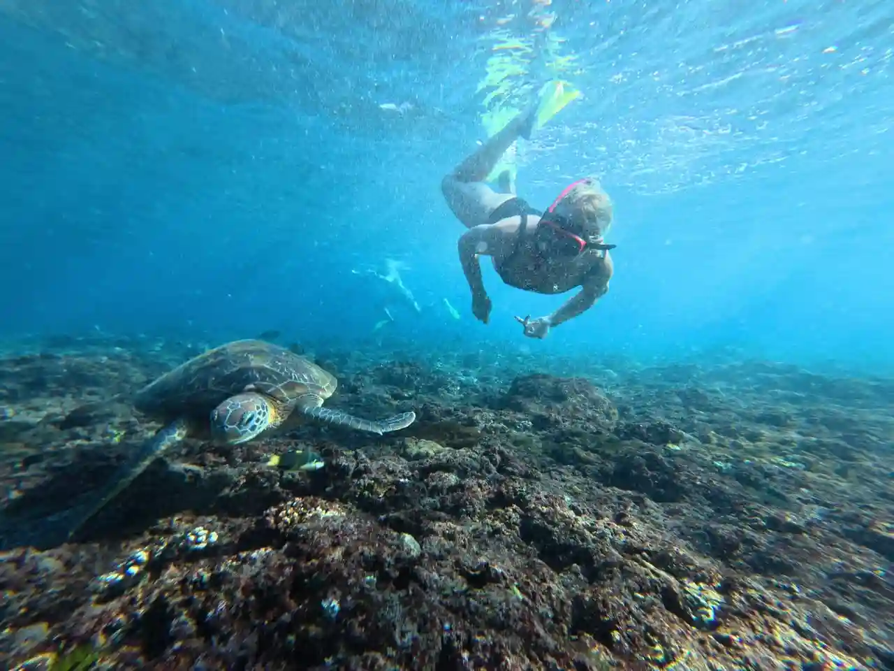 Snorkeling gallery photo 8