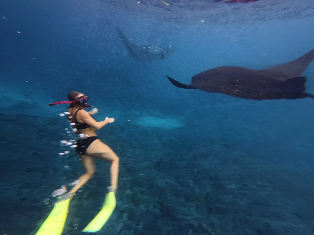 Snorkeling gallery photo 10