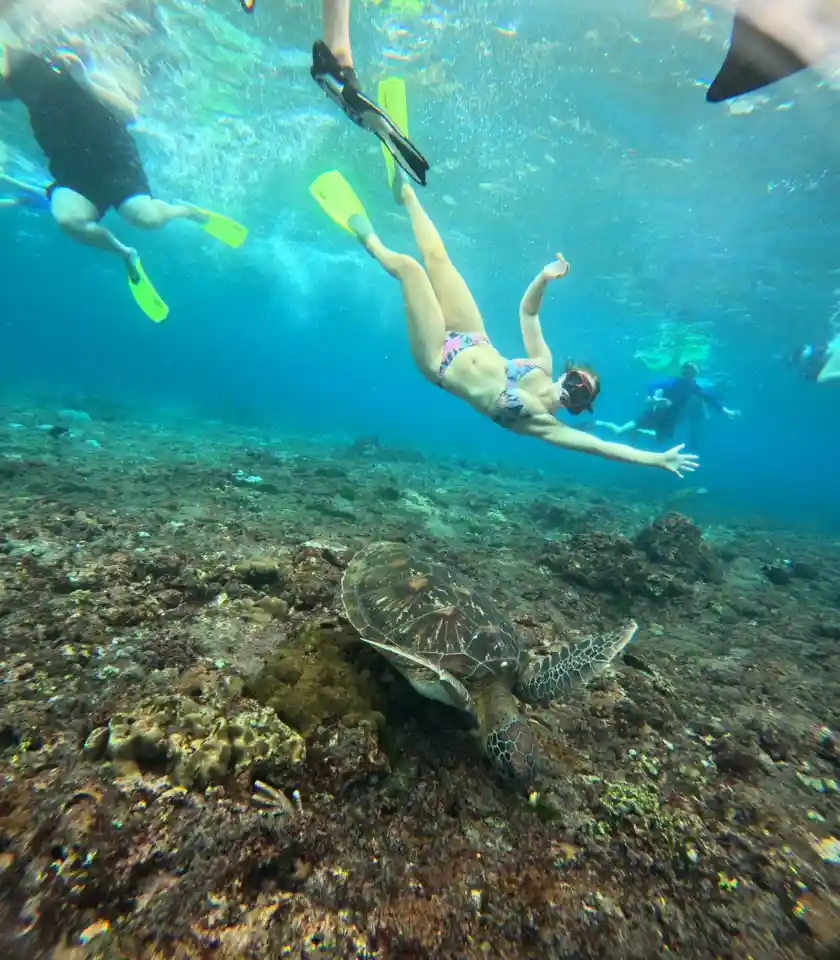 Snorkeling gallery photo 11