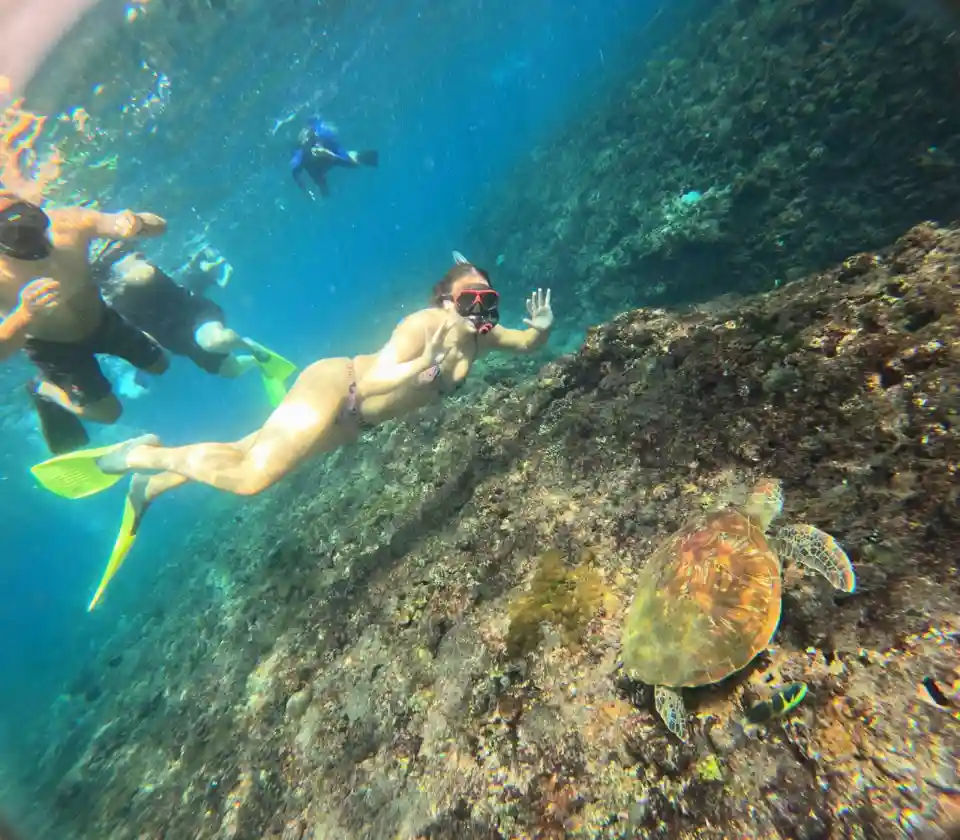 Snorkeling gallery photo 12