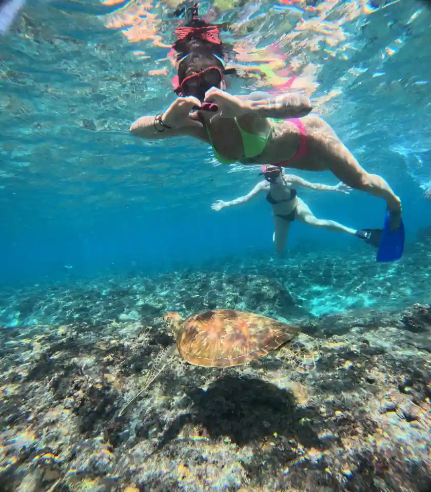 Snorkeling gallery photo 13