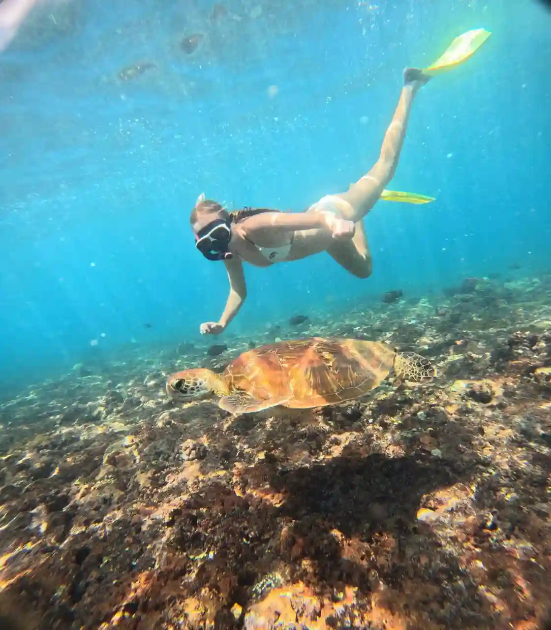 Snorkeling gallery photo 15