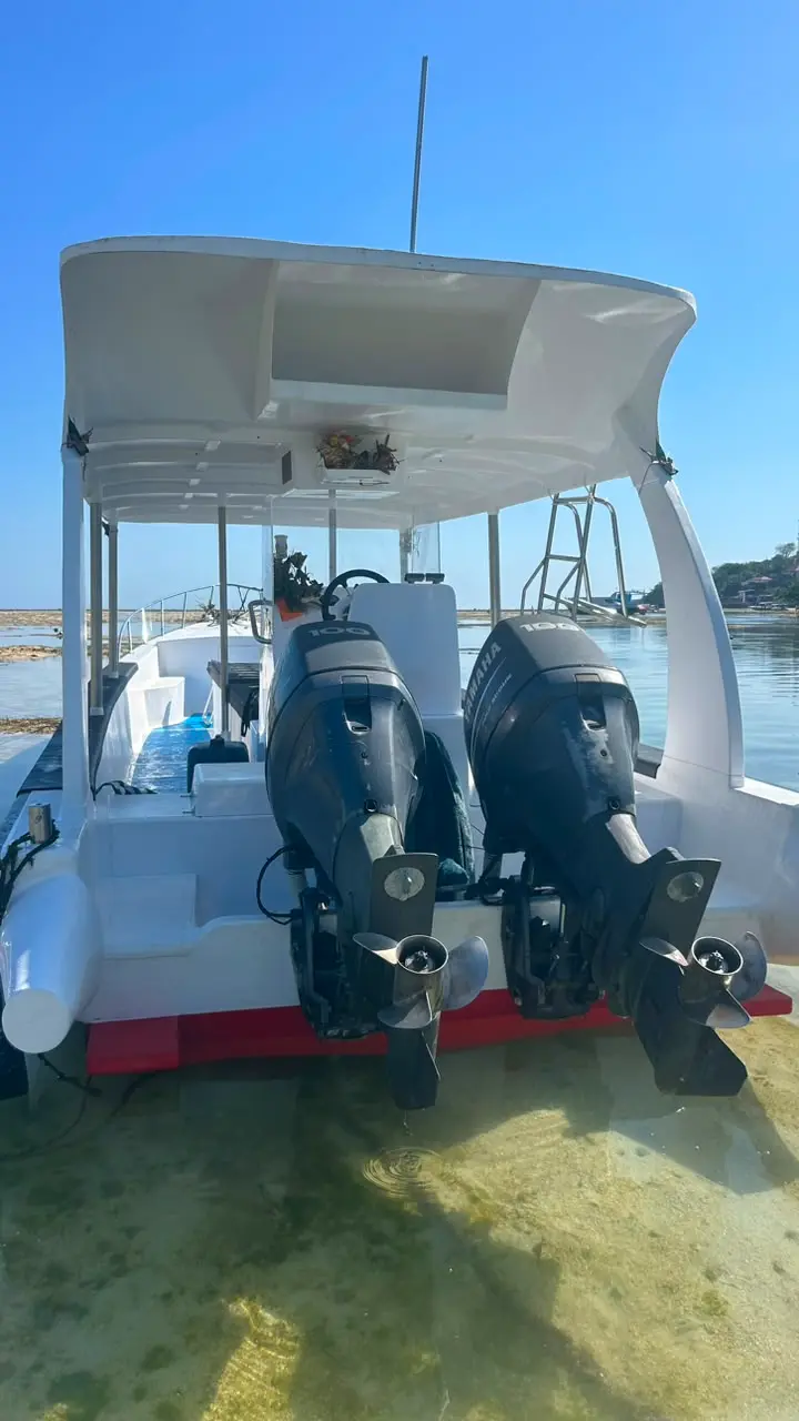 Snorkeling gallery photo 6