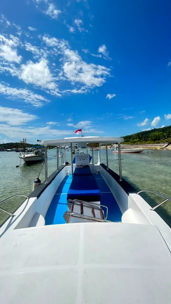 Snorkeling gallery photo 8