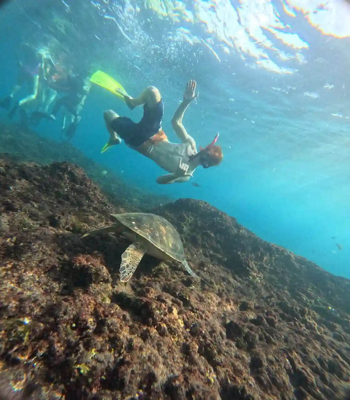 Snorkeling gallery photo 9